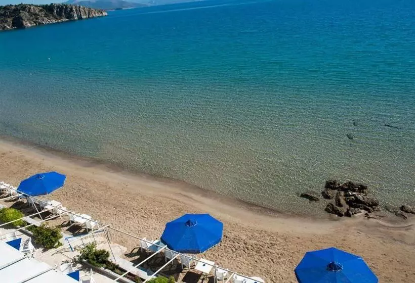 בית מלון כפרי Solon