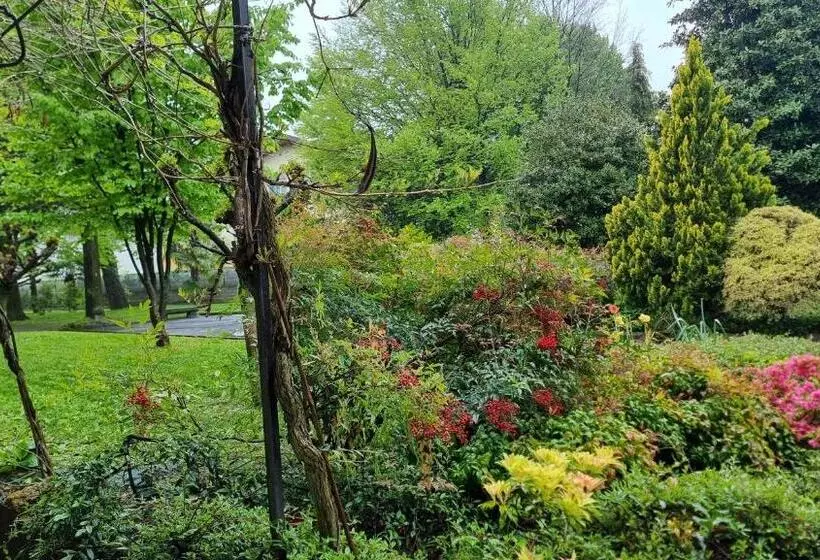 ホテル Albergo Trieste