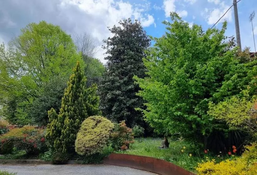 ホテル Albergo Trieste