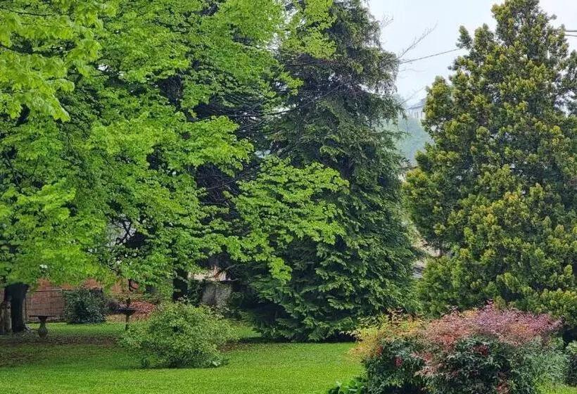 ホテル Albergo Trieste