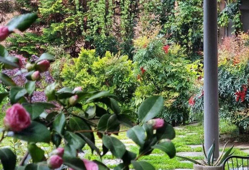 ホテル Albergo Trieste