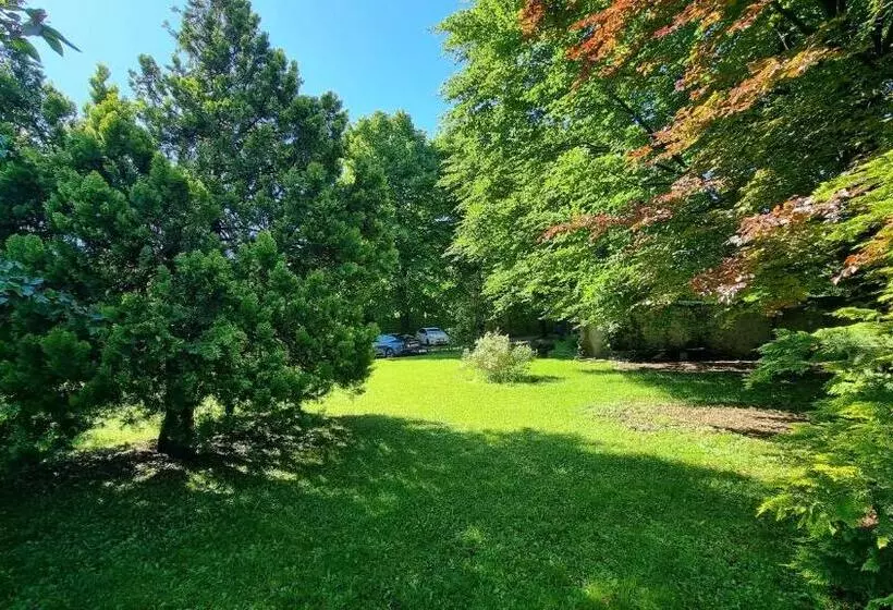 ホテル Albergo Trieste