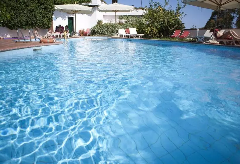 ホテル Gallo Nero