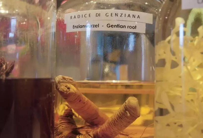 בית מלון כפרי Liberty