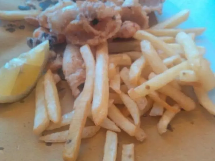 בית מלון כפרי Park