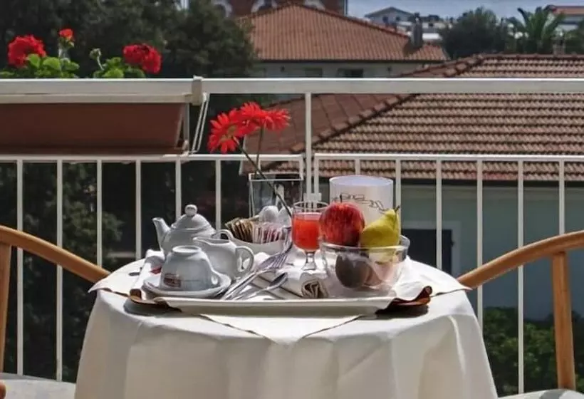 فندق Scandinavia