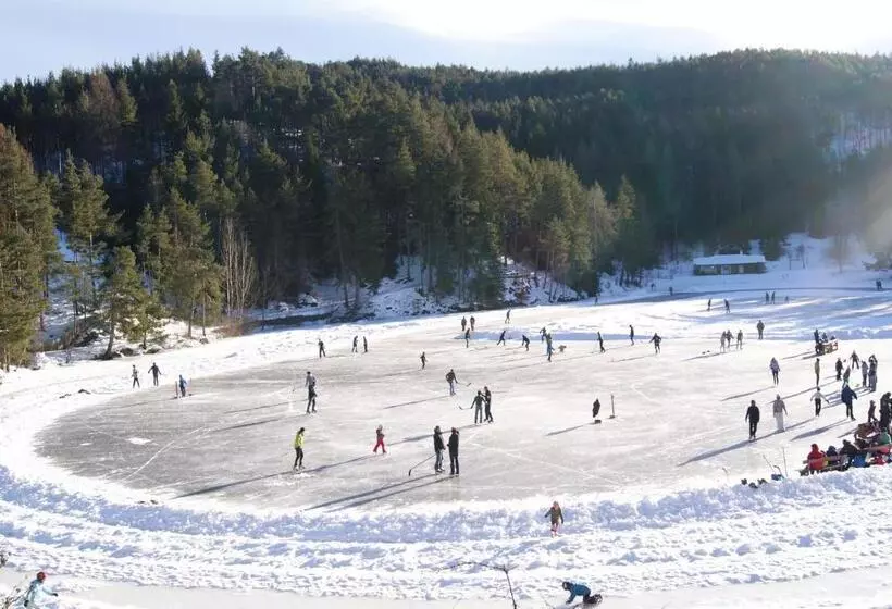 Отель Am Wolfgrubenersee