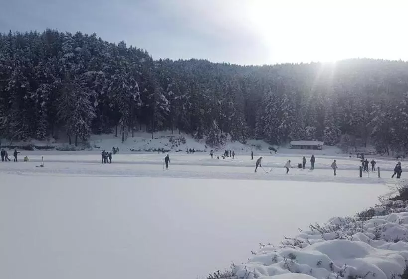 Отель Am Wolfgrubenersee