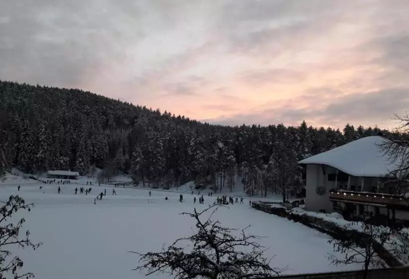 Отель Am Wolfgrubenersee