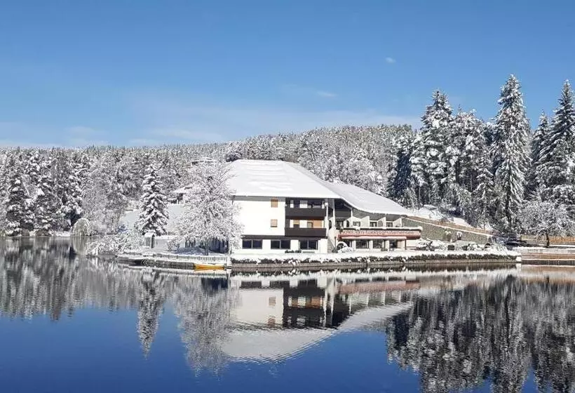 Отель Am Wolfgrubenersee