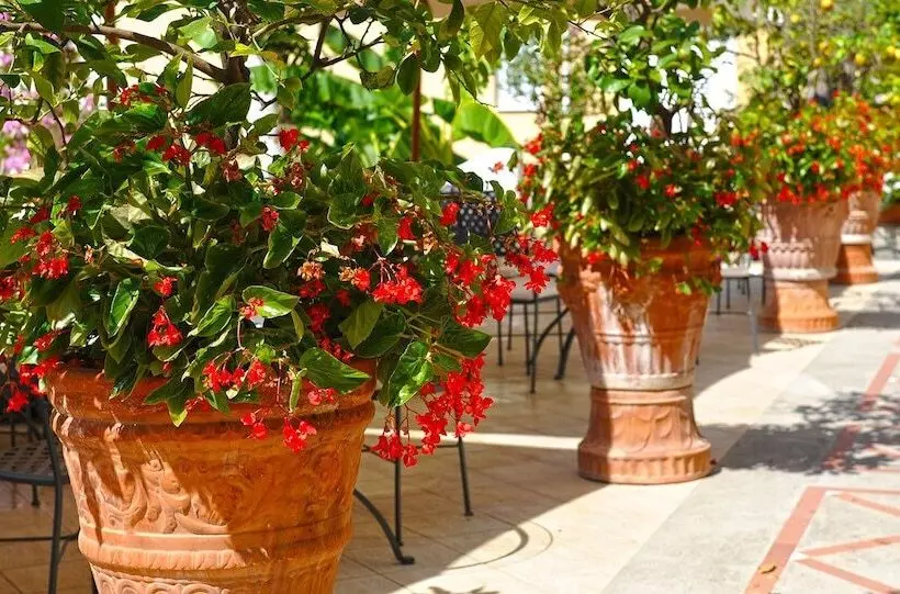 Отель Marincanto