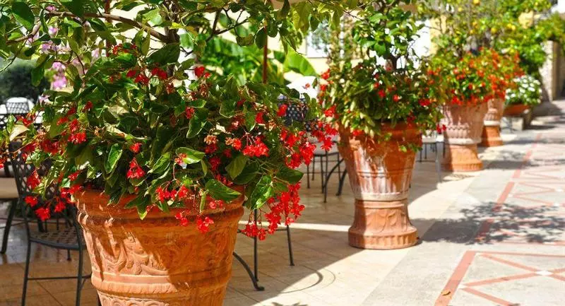 Отель Marincanto