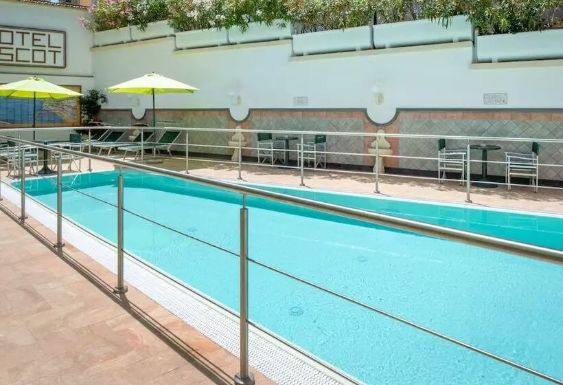 ホテル Ascot Sorrento