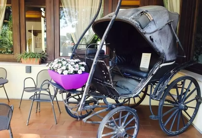 בית מלון כפרי El Rustego