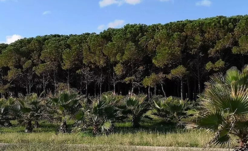 ホテル San Domenico