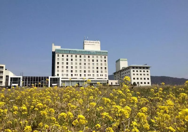 Отель Gifu Grand