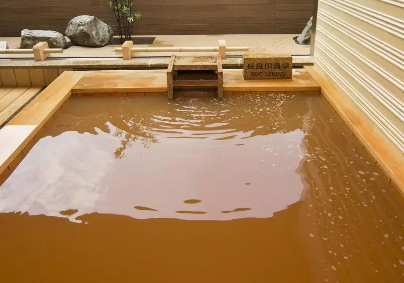 Отель Gifu Grand