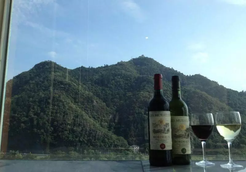 Отель Gifu Grand