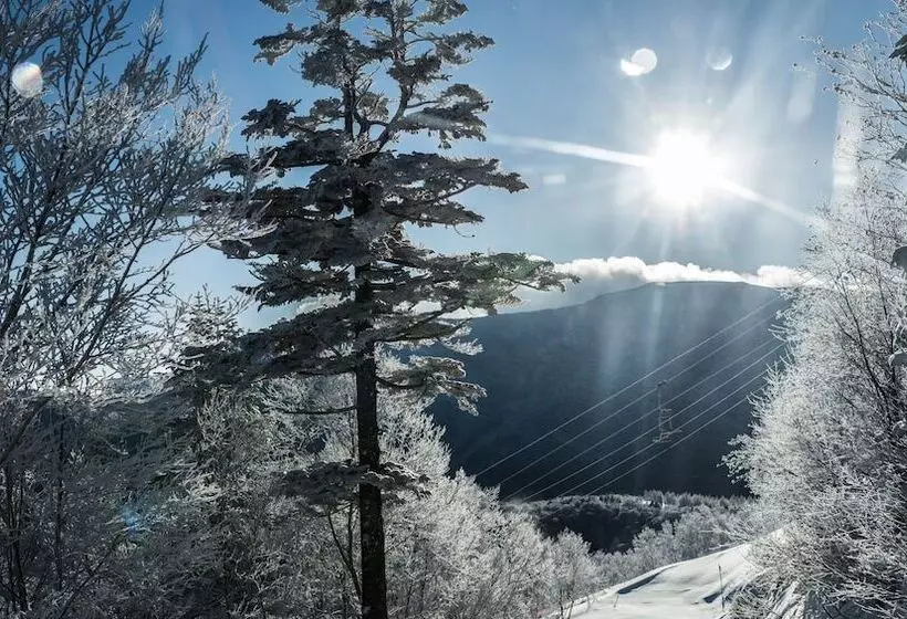 Hotel Okushiga Kogen