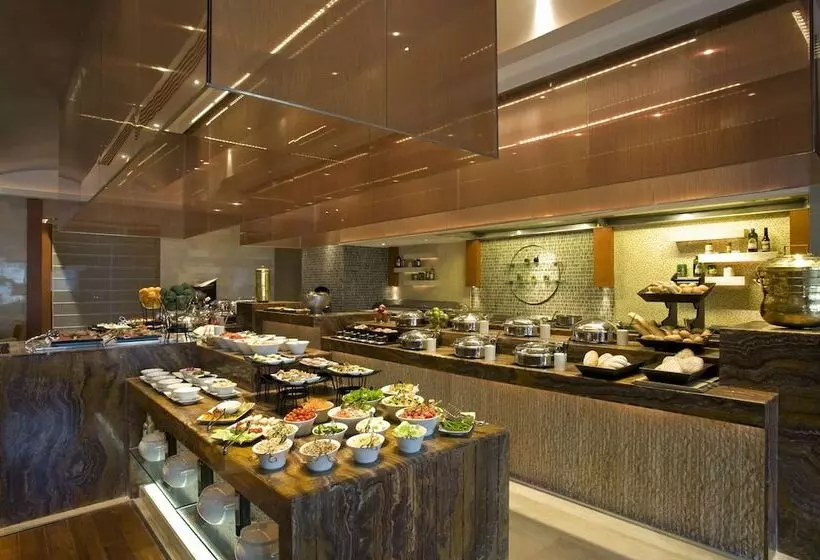 Hotel Taj Coromandel