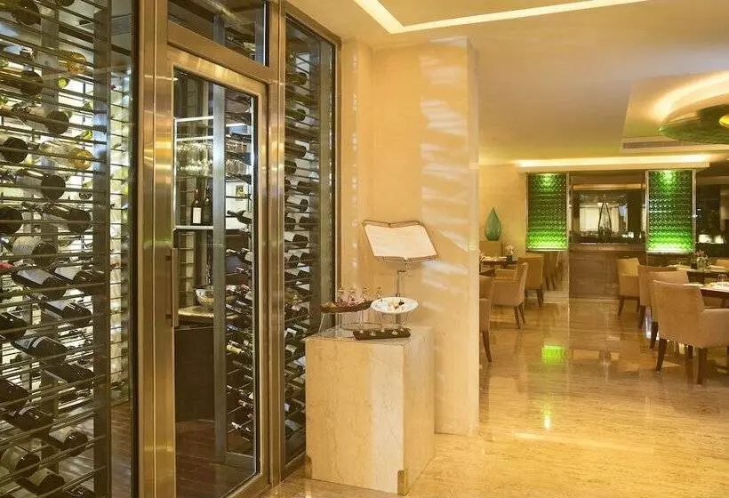 Hotel Taj Coromandel