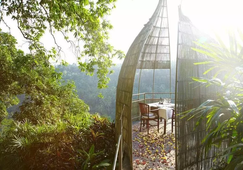 渡假胜地  Kupu Kupu Barong Villas And Tree Spa By L’occitane