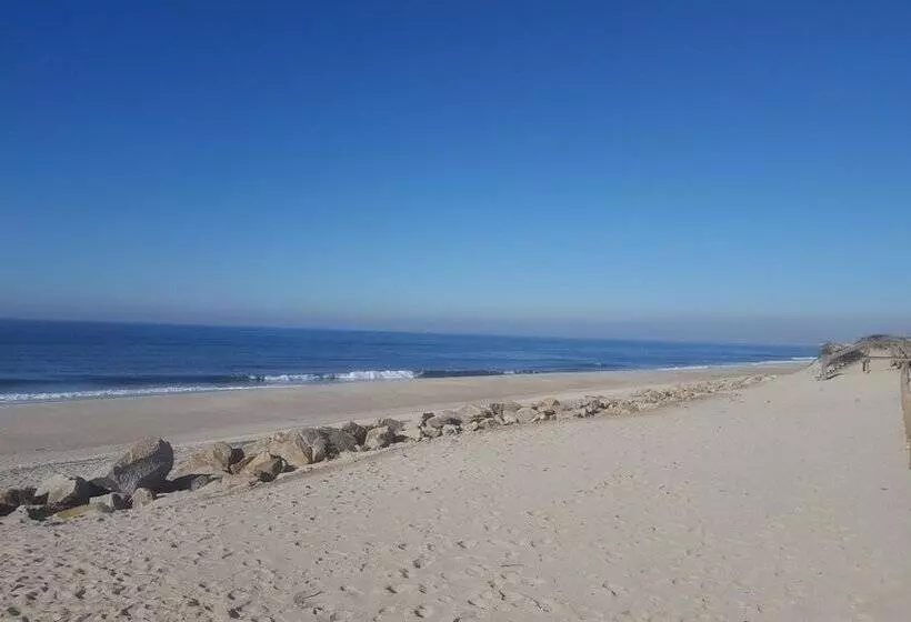 Отель Hamilton Agadir