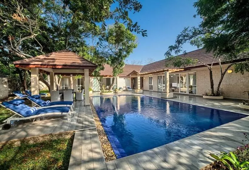 Отель Leopard Beach Resort And Spa