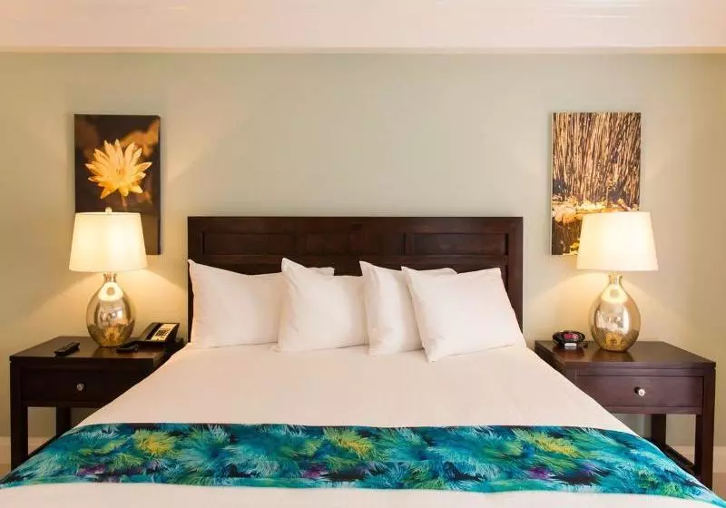 هتل Ocean Terrace Inn