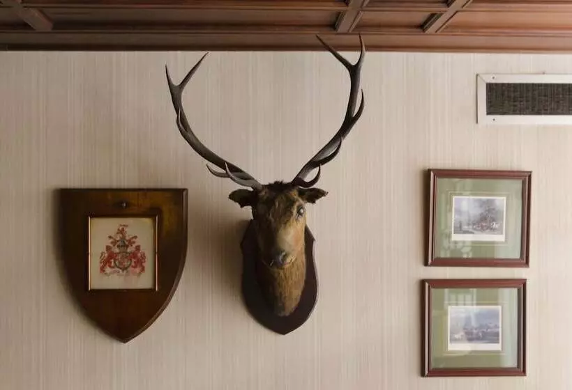 هتل The Mayflower