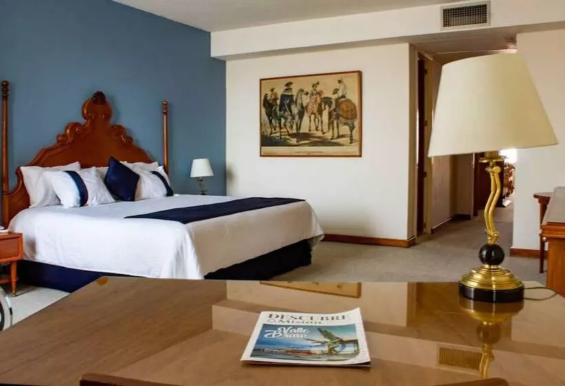 호텔 Mision Guadalajara