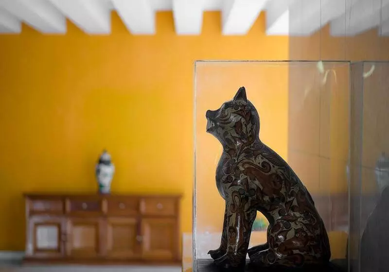 호텔 Mision Guadalajara