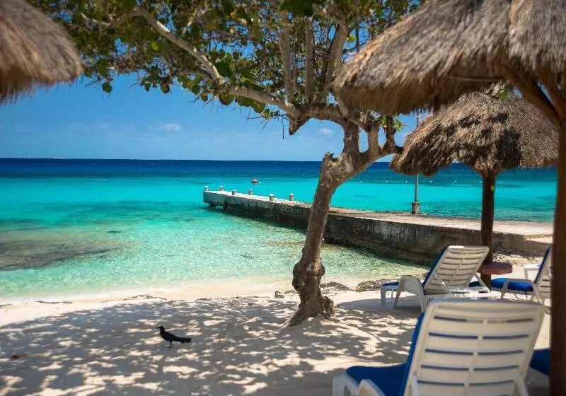 ホテル Playa Azul Cozumel