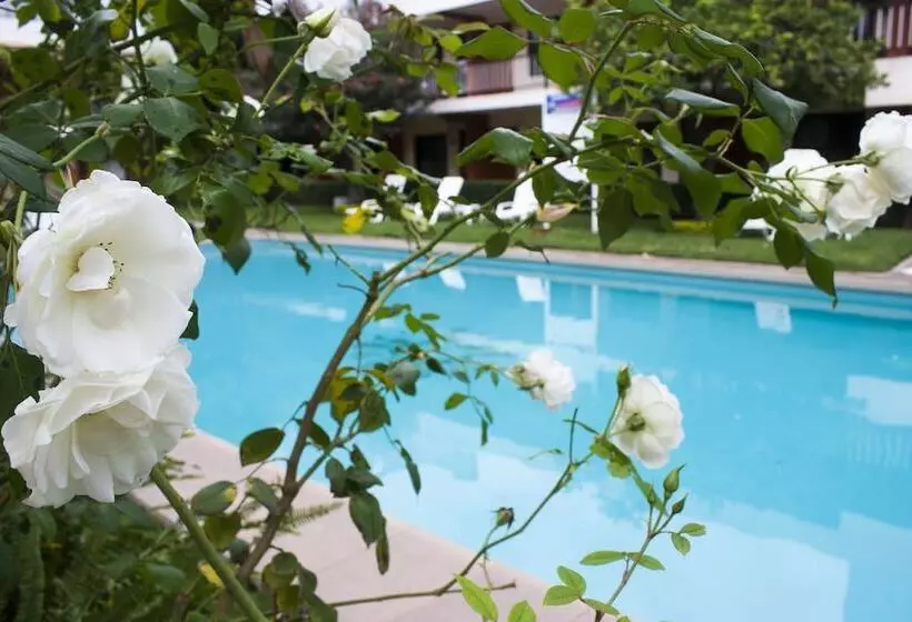 فندق Puerta Del Sol Guadalajara