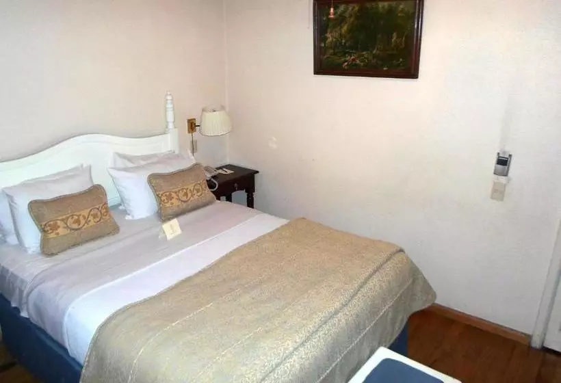 ホテル Virrey De Mendoza