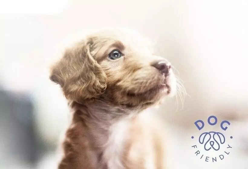 فندق Gamma Guaymas Armida