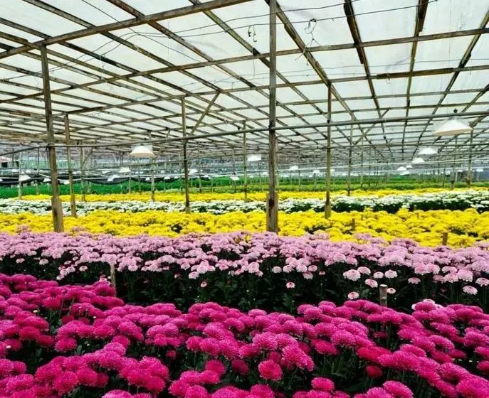 Strawberry Park Resort