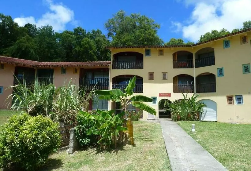 Studio Cocotier Anse Caritan