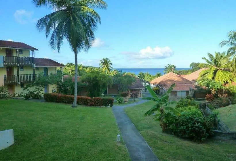 Studio Cocotier Anse Caritan