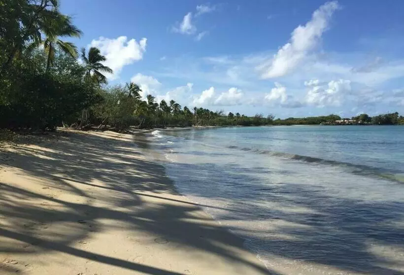 Studio Cocotier Anse Caritan