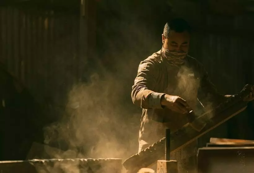 هتل The Dwarika S