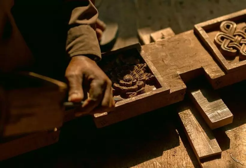 هتل The Dwarika S