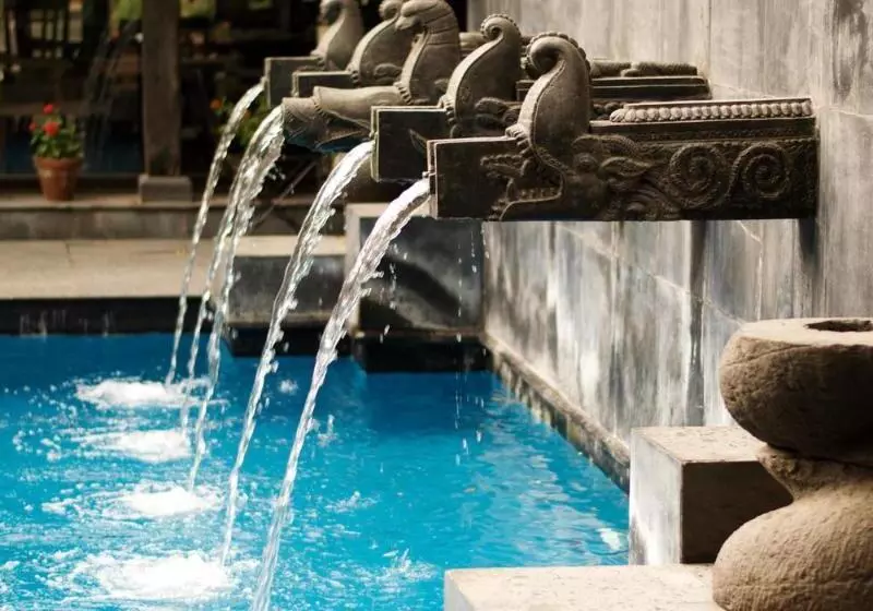 هتل The Dwarika S