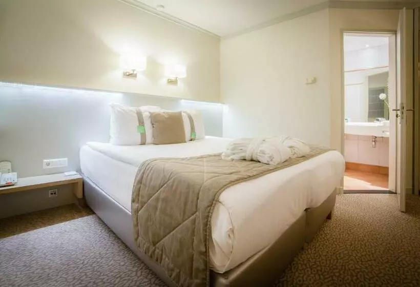 酒店 Holiday Inn Leiden