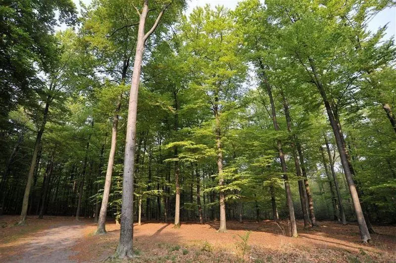 Parkhotel Mastbosch Breda