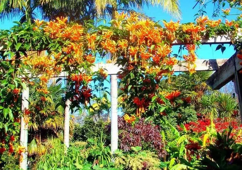 Colonial House Motel