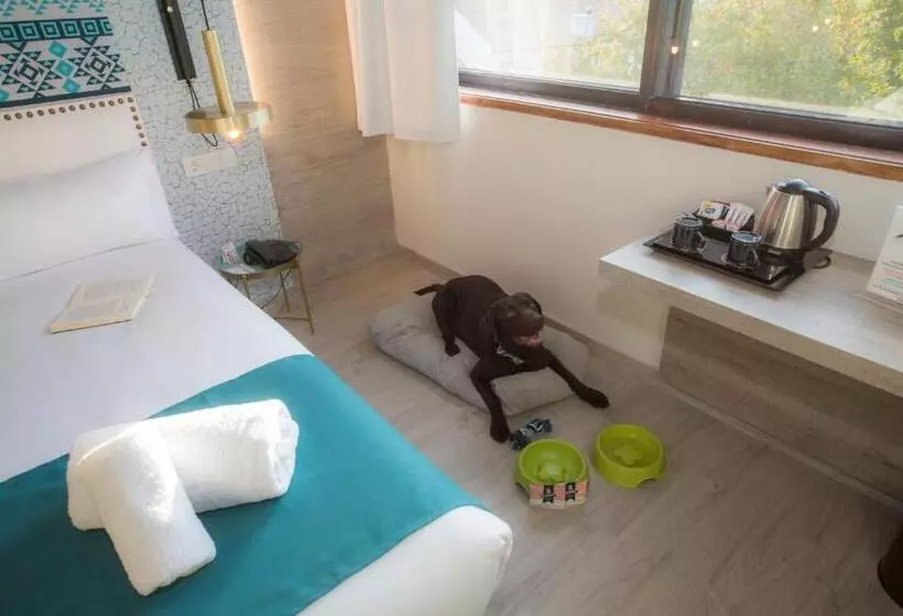 هتل Casual Inca Porto