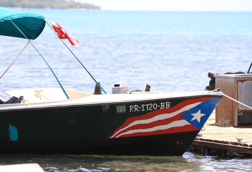 هتل Parador Boquemar