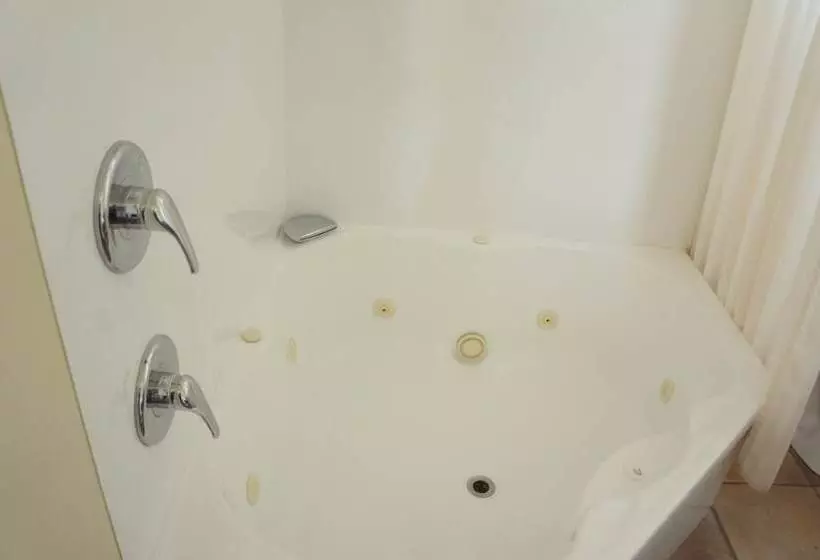 מוטל Bk S Egmont Motor Lodge