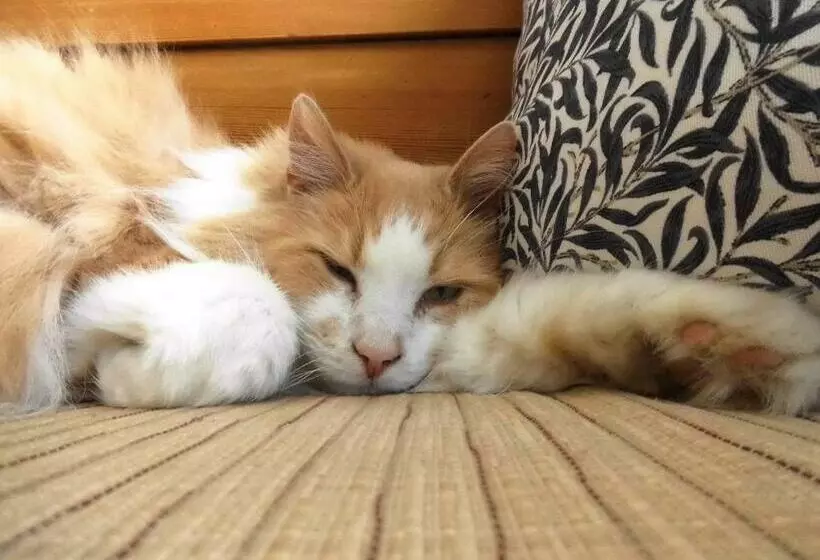 فندق Guntorps Herrgård